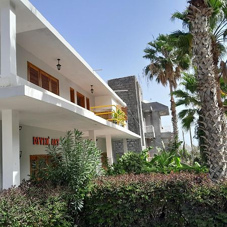 Hotel Bb Divin'Artr Ribeira Grande Zewnętrze zdjęcie